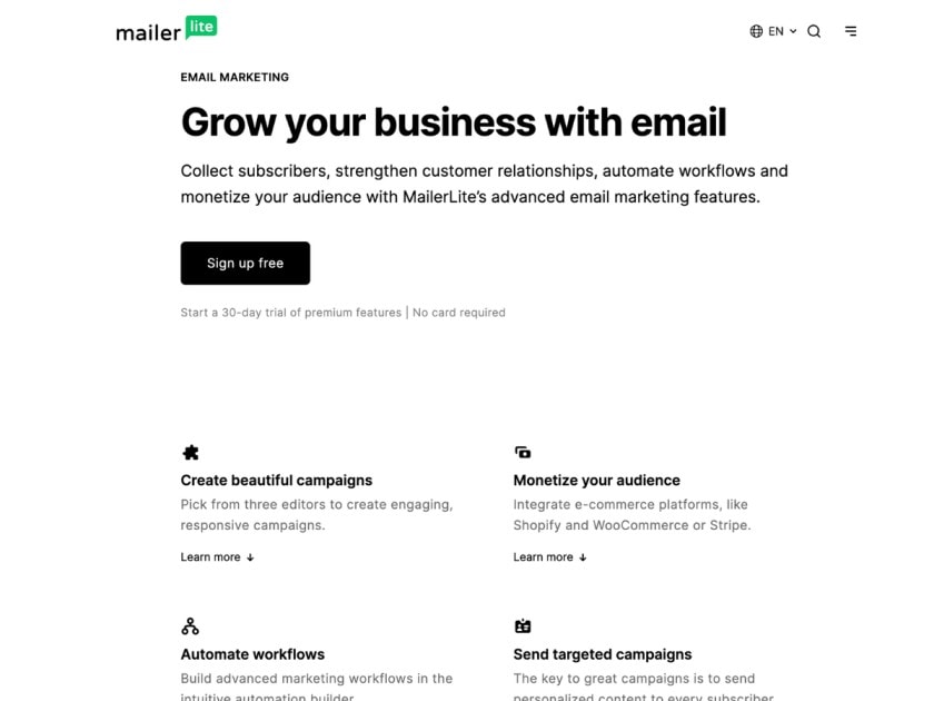 Esempio landing pageMailerLite