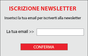 lead magnet - newsletter