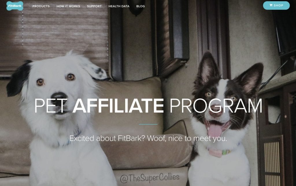 Affiliazione prodotti per animali