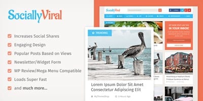 Socially Viral - My Theme Shop