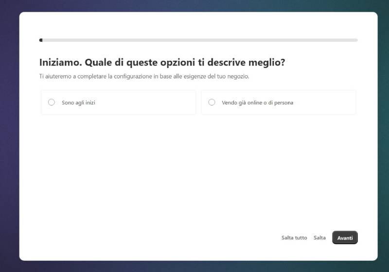 shopify questionario